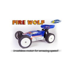 FIRE WOLF BRUSHLESS ELECTRIC MOTOR RC BUGGY