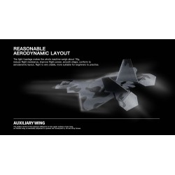 F-22A RAPTOR RTF 3CH RC JET PLANE WITH 3D/6G OPTIONAL AUTOPILOT GYRO