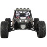 MARAUDER ELECTRIC RC CAR - RTR