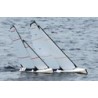 Joysway Dragon Force 65 V6 Yacht ARTR