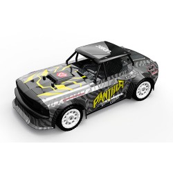 Udi Panther 1/16th 4WD...