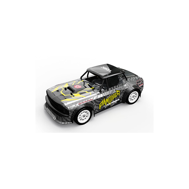 Udi Panther 1/16th 4WD 2.4GHz w/ESP