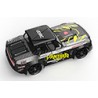 Udi Panther 1/16th 4WD 2.4GHz w/ESP