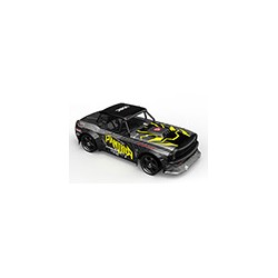 Udi Panther 1/16th 4WD 2.4GHz w/ESP