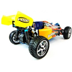 BACKWASH NITRO RADIO CONTROLLED BUGGY 2.4GHZ